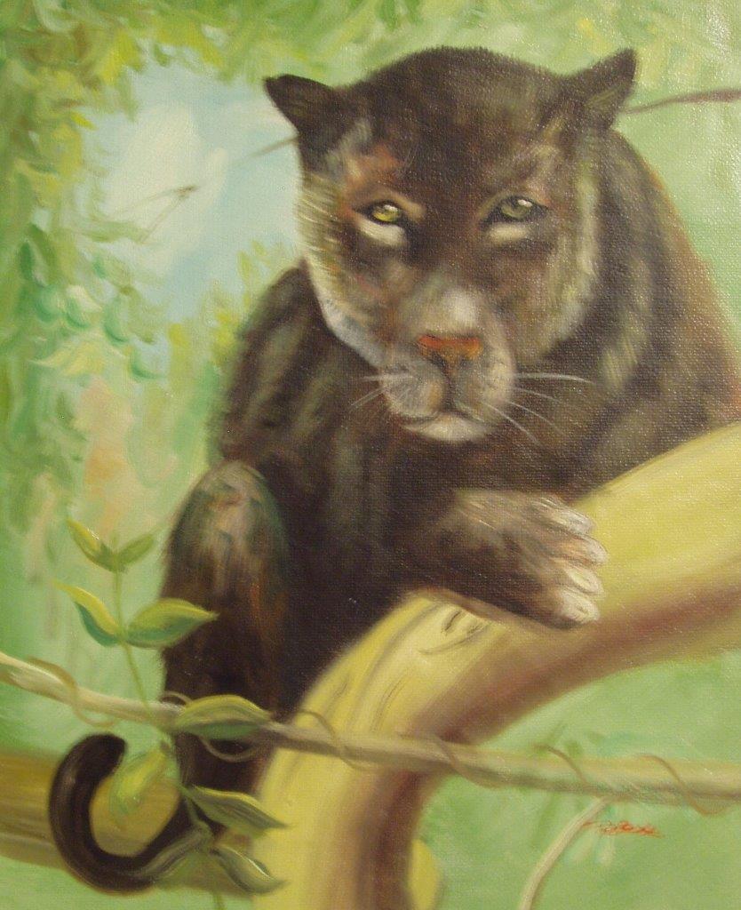 Animals-8x10